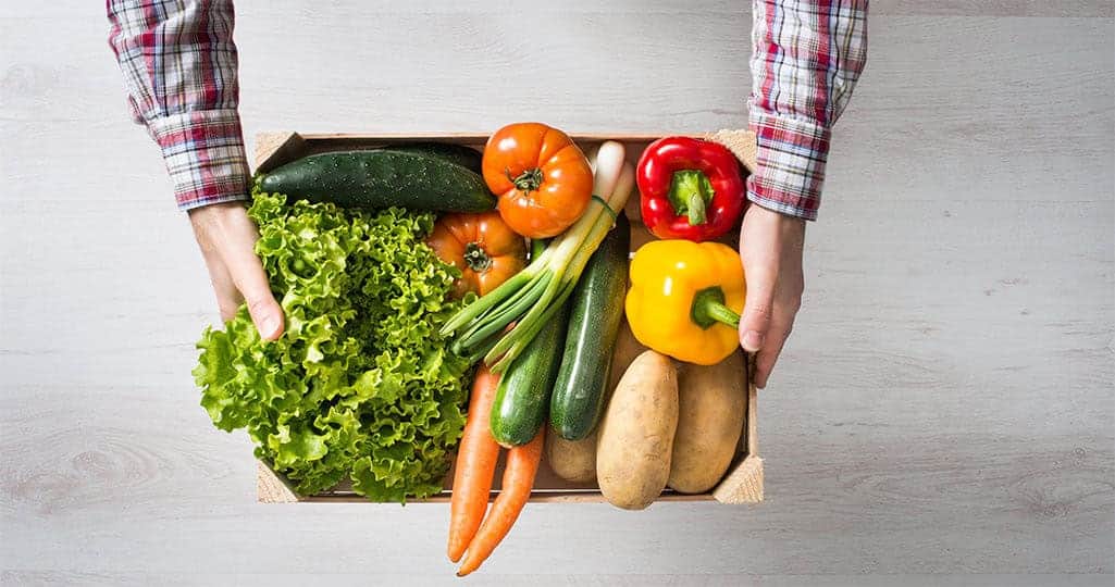 Plant-based diet support image