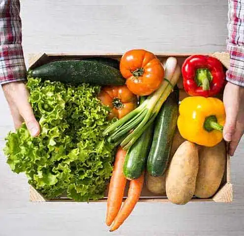 Fresh vegetables including lettuce, cucumbers, peppers, carrots, and potatoes.
